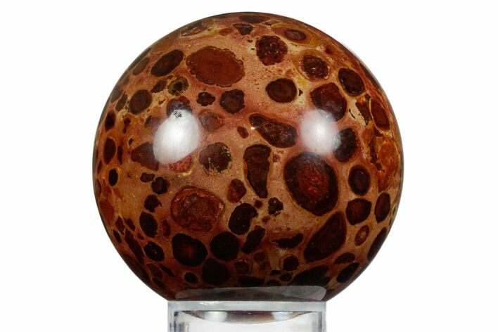 Polished Bauxite (Aluminum Ore) Sphere - Russia #354240